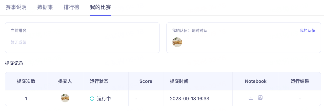 记录